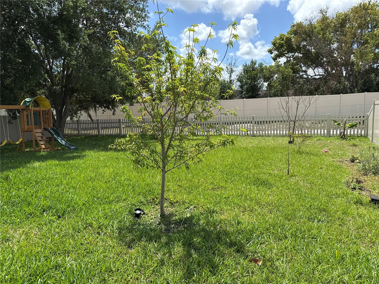 292 ARBUTHNOT ST, WINTER HAVEN, FL, 33881