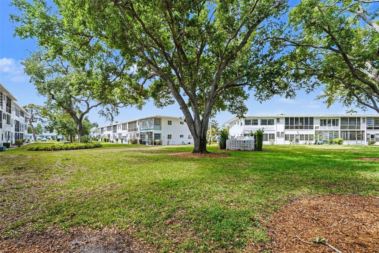 8402 111TH ST N #101, SEMINOLE, FL, 33772