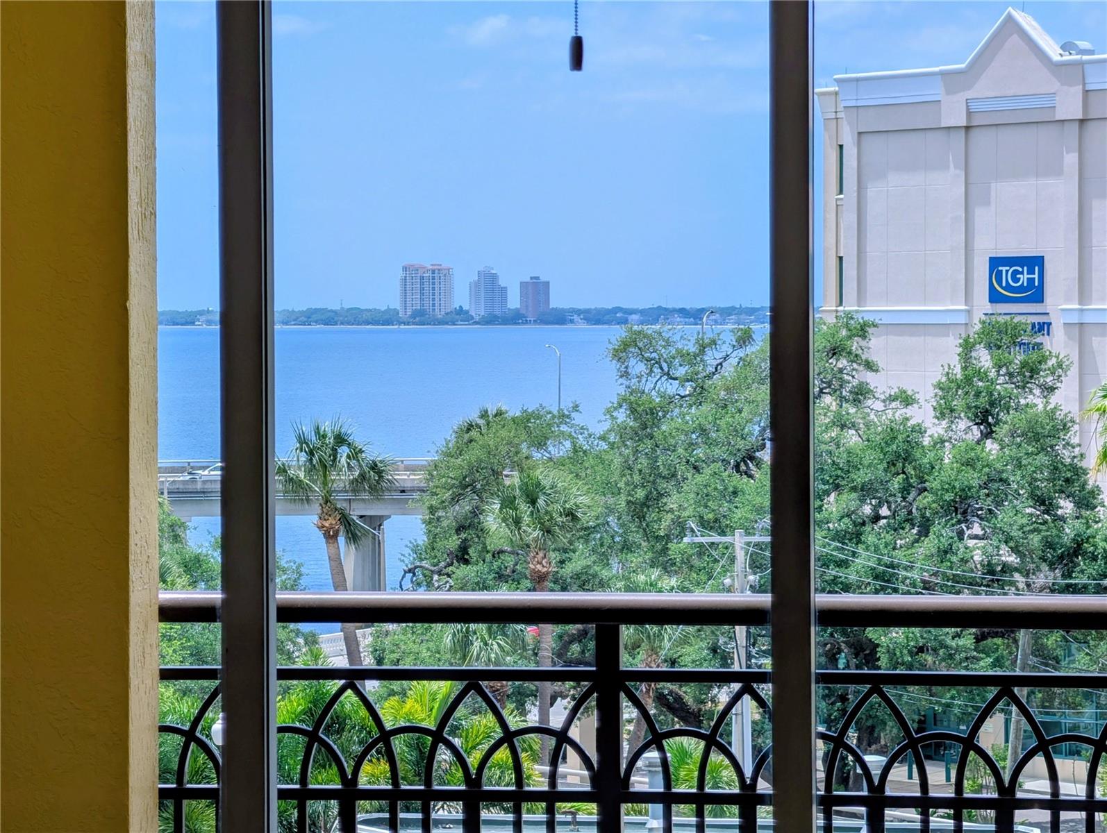 345 BAYSHORE BLVD #505, TAMPA, FL, 33606