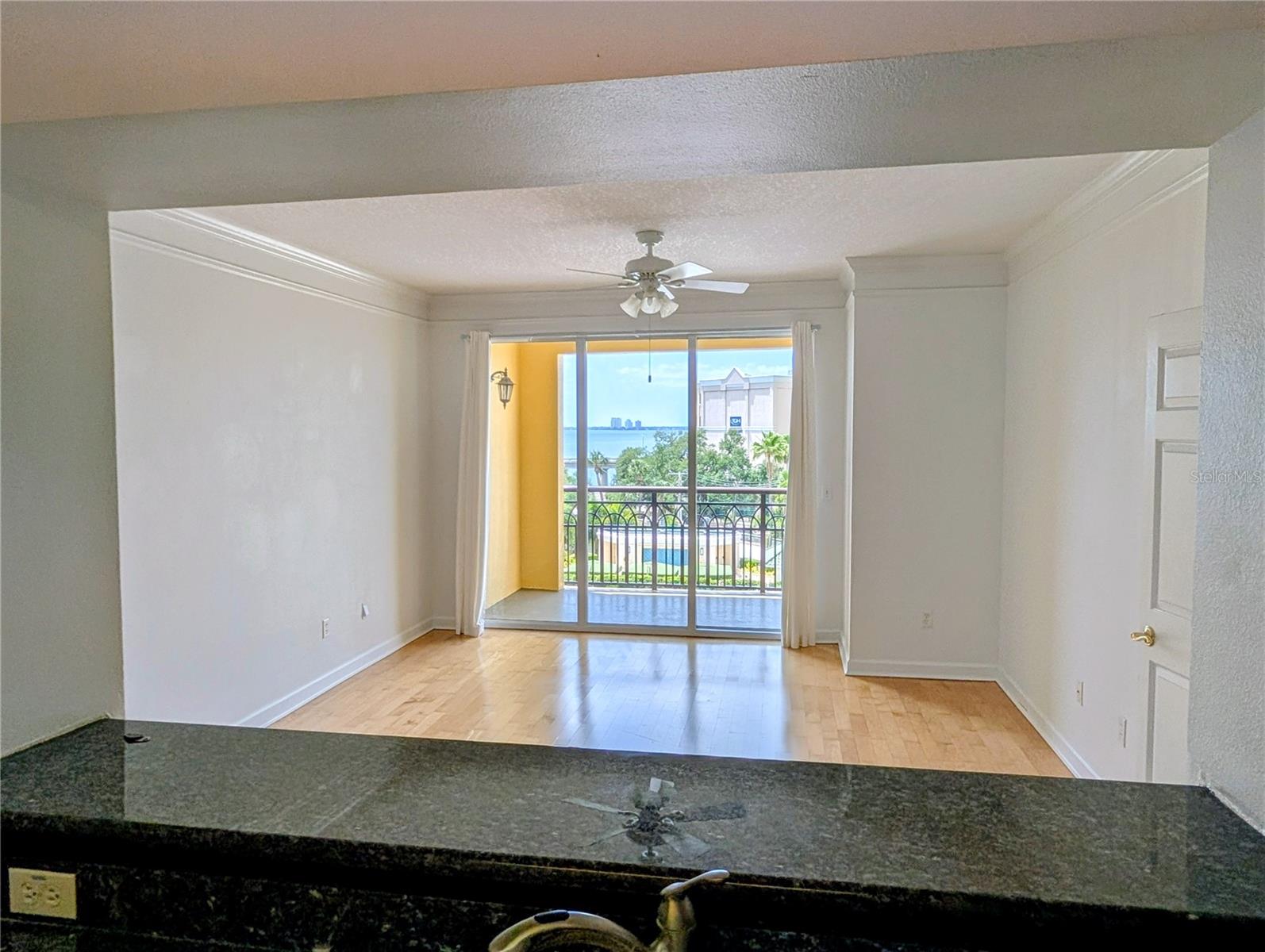 345 BAYSHORE BLVD #505, TAMPA, FL, 33606