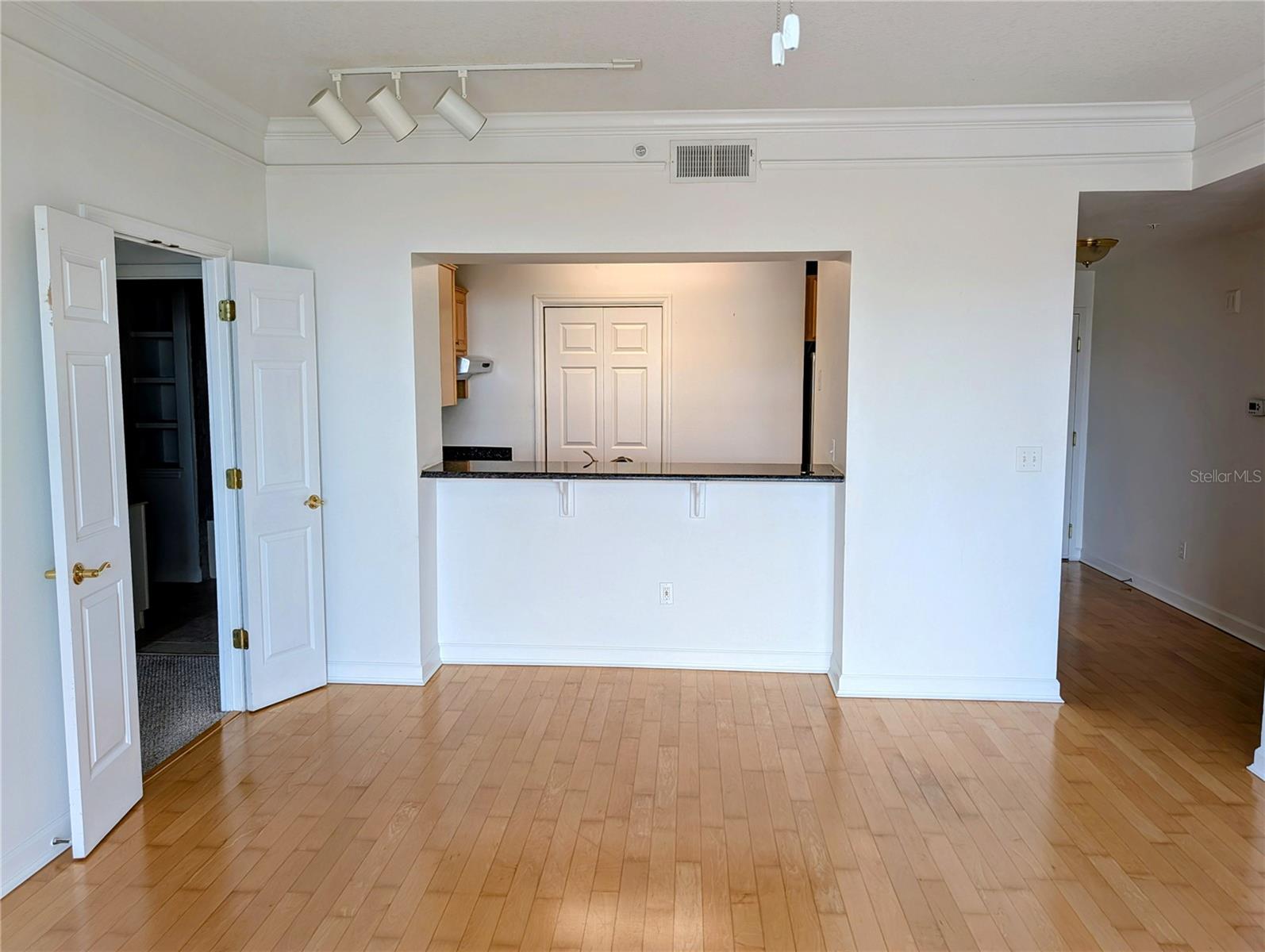 345 BAYSHORE BLVD #505, TAMPA, FL, 33606