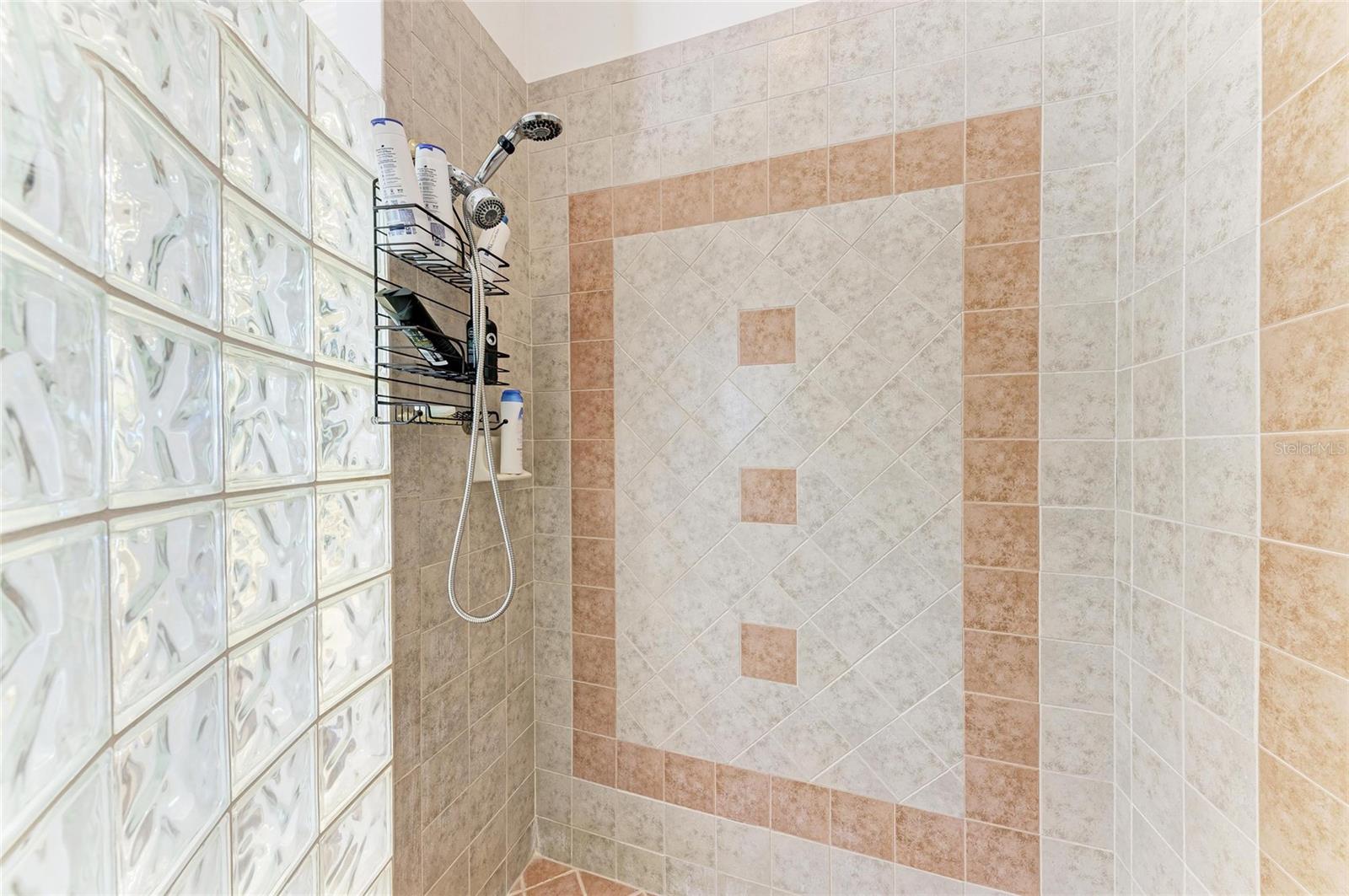 8118 WATERVIEW BLVD, LAKEWOOD RANCH, FL, 34202