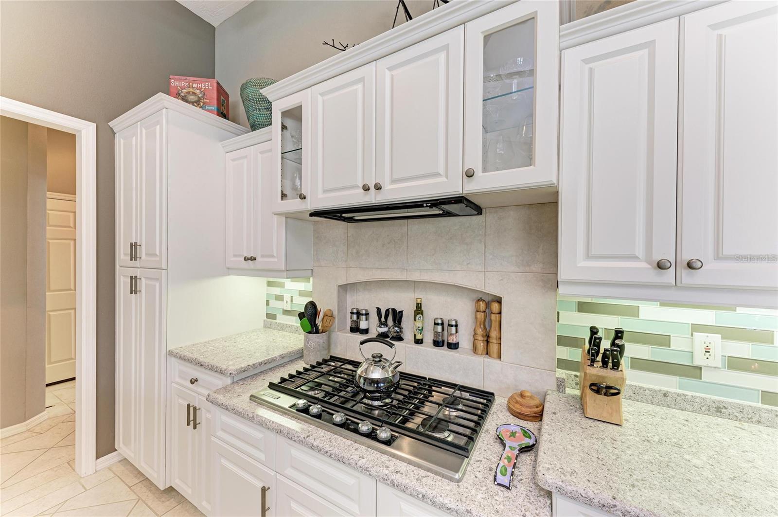 8118 WATERVIEW BLVD, LAKEWOOD RANCH, FL, 34202