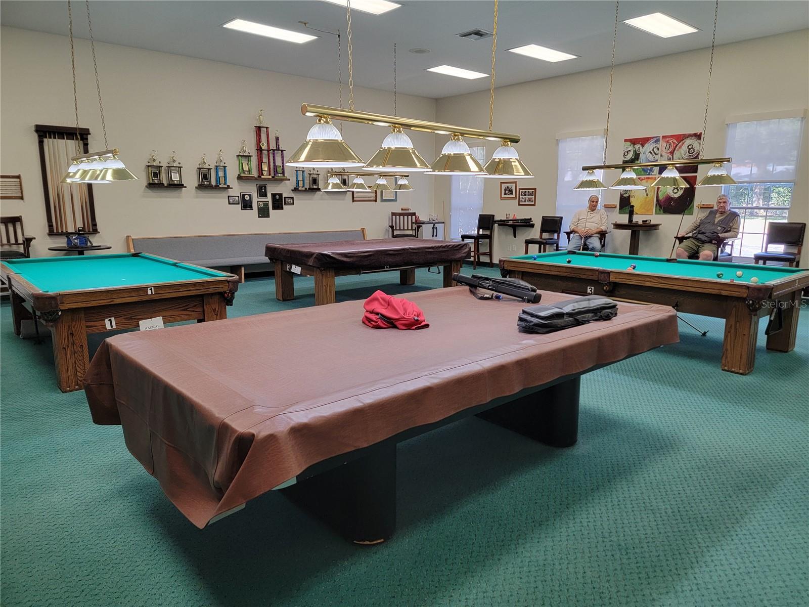 3723 MULBERRY GROVE LOOP, LEESBURG, FL, 34748