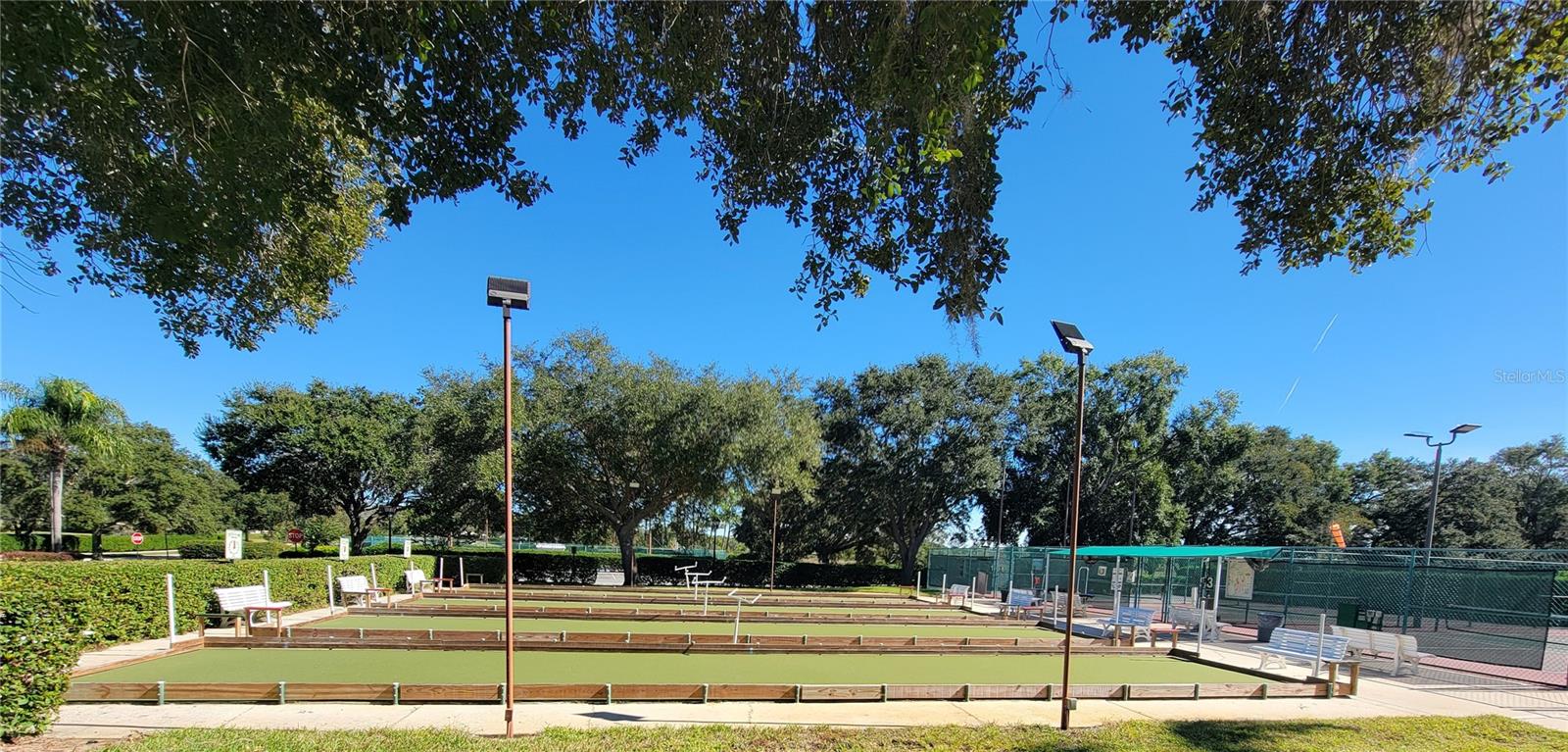 3723 MULBERRY GROVE LOOP, LEESBURG, FL, 34748