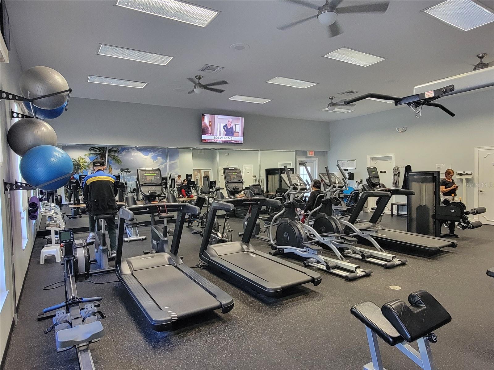 3723 MULBERRY GROVE LOOP, LEESBURG, FL, 34748