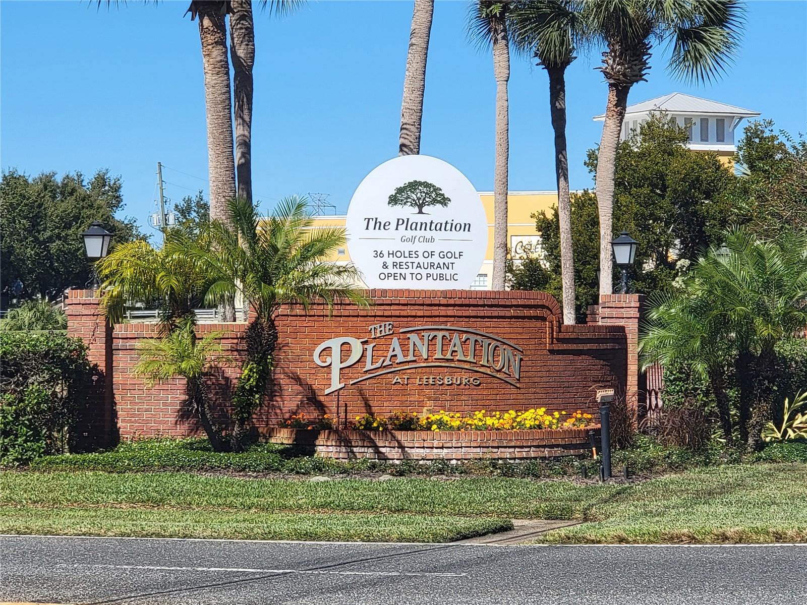 3723 MULBERRY GROVE LOOP, LEESBURG, FL, 34748