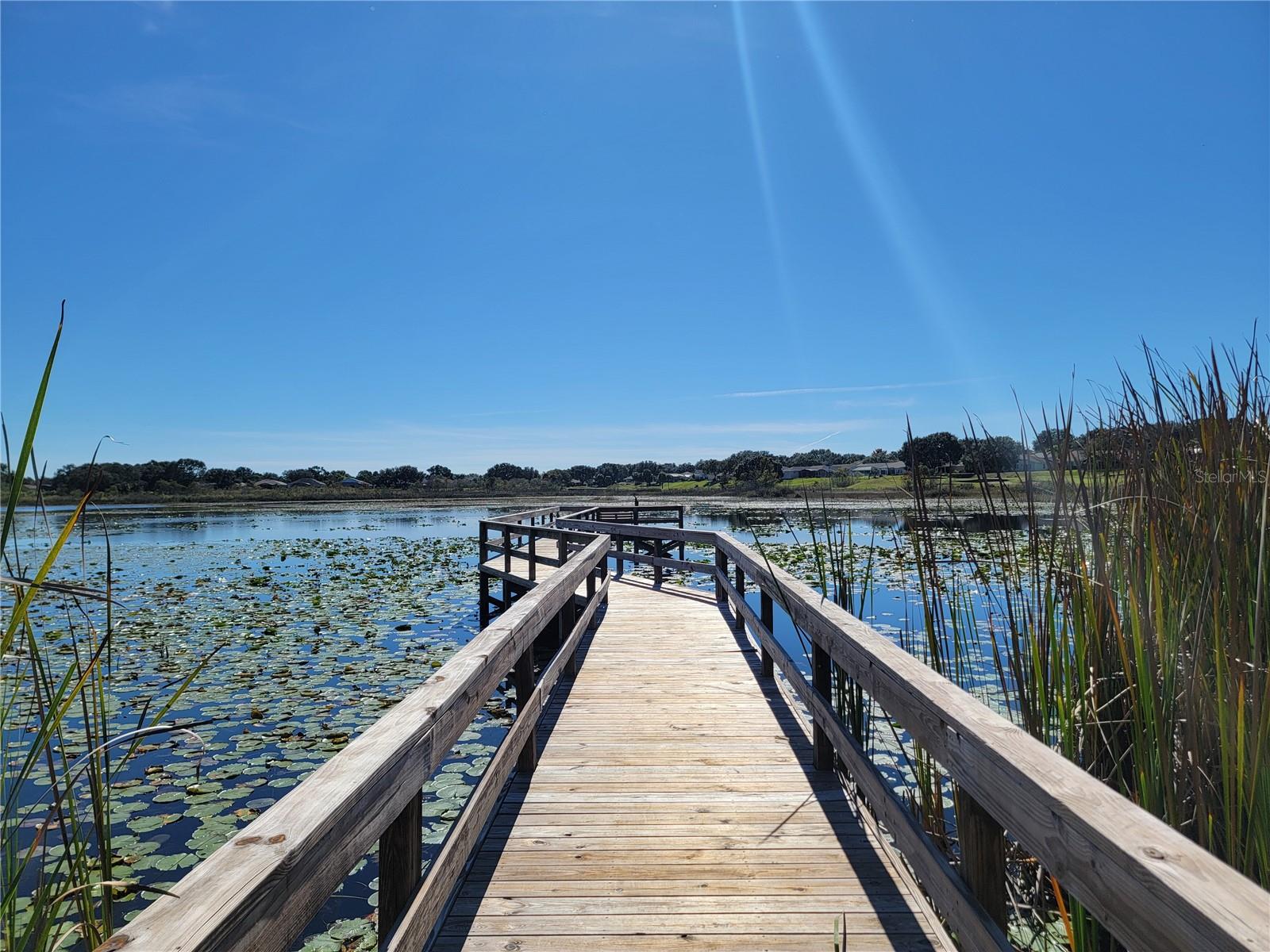 3723 MULBERRY GROVE LOOP, LEESBURG, FL, 34748