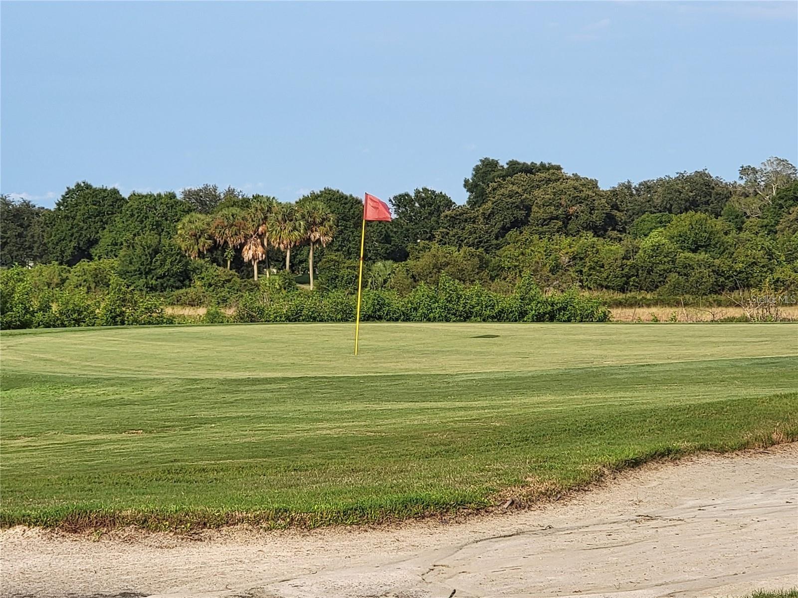 3723 MULBERRY GROVE LOOP, LEESBURG, FL, 34748