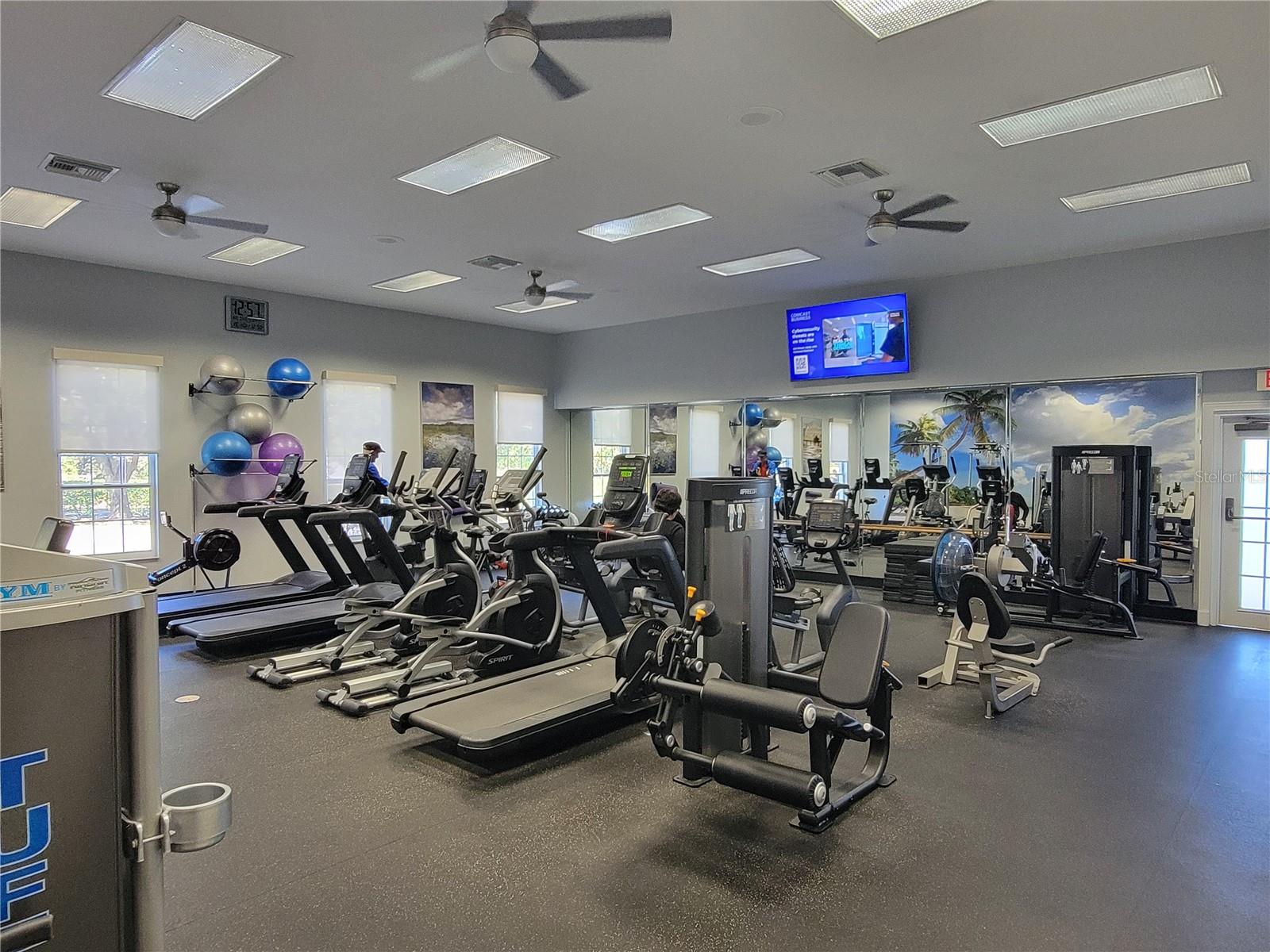 3723 MULBERRY GROVE LOOP, LEESBURG, FL, 34748