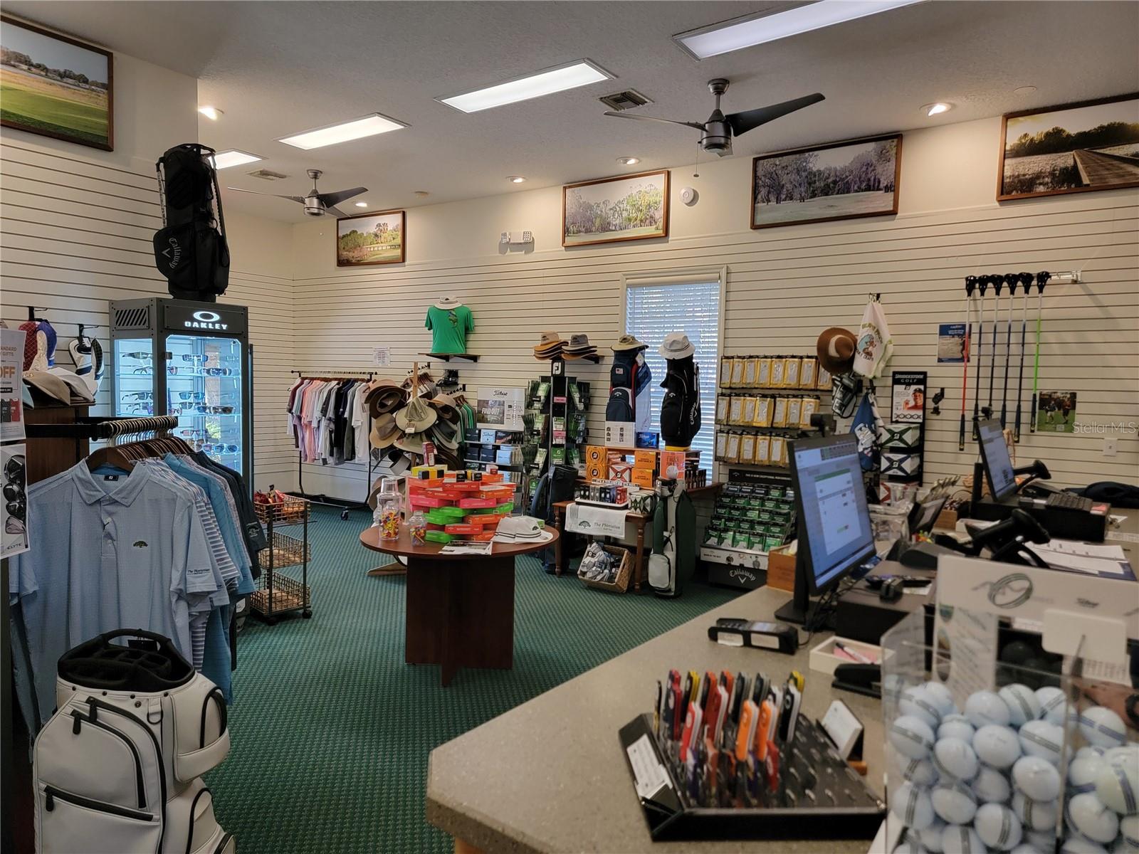 3723 MULBERRY GROVE LOOP, LEESBURG, FL, 34748