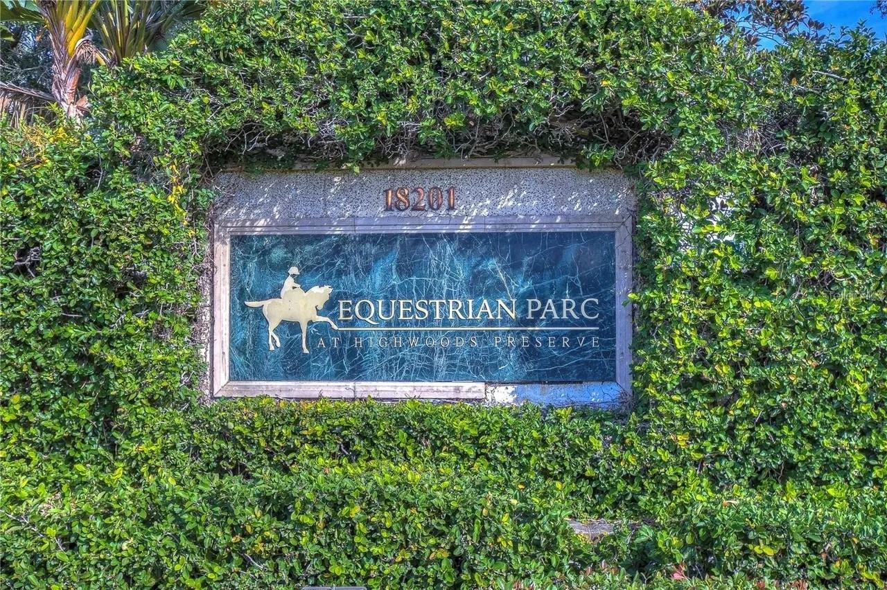 18163 BRIDLE CLUB DR #18163, TAMPA, FL, 33647