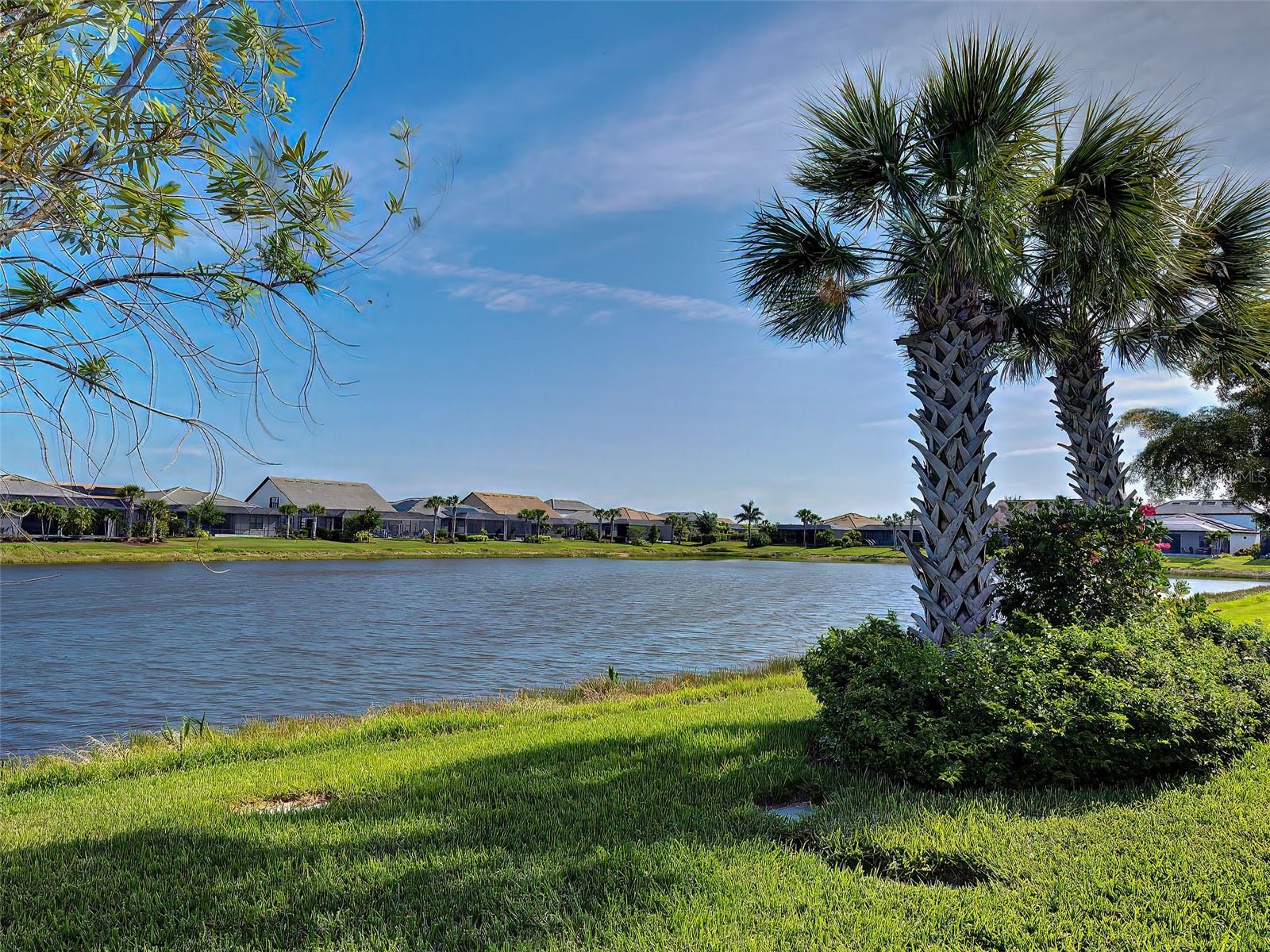 13146 BORREGO ST, VENICE, FL, 34293