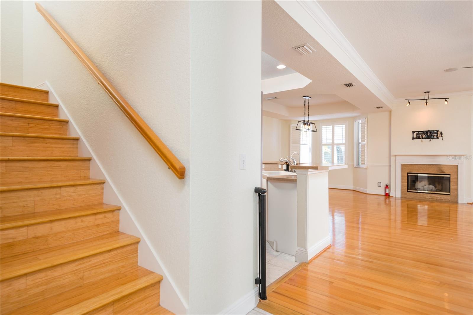 2876 BAYSHORE TRAILS DR, TAMPA, FL, 33611