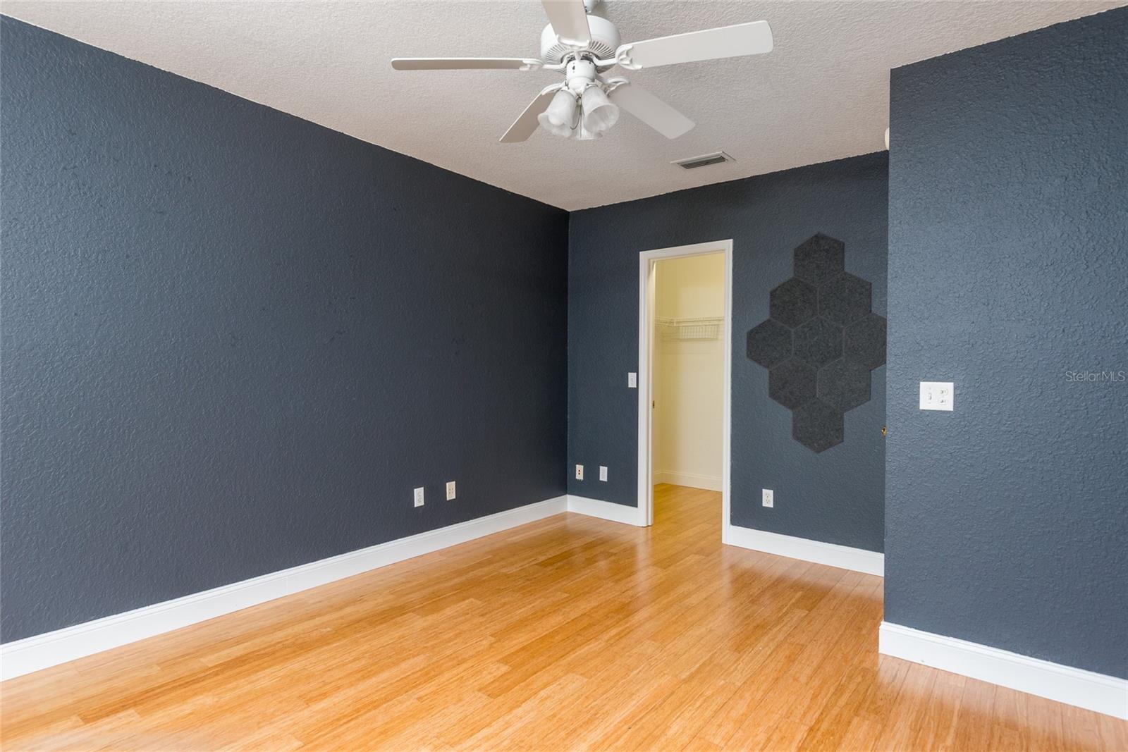 2876 BAYSHORE TRAILS DR, TAMPA, FL, 33611