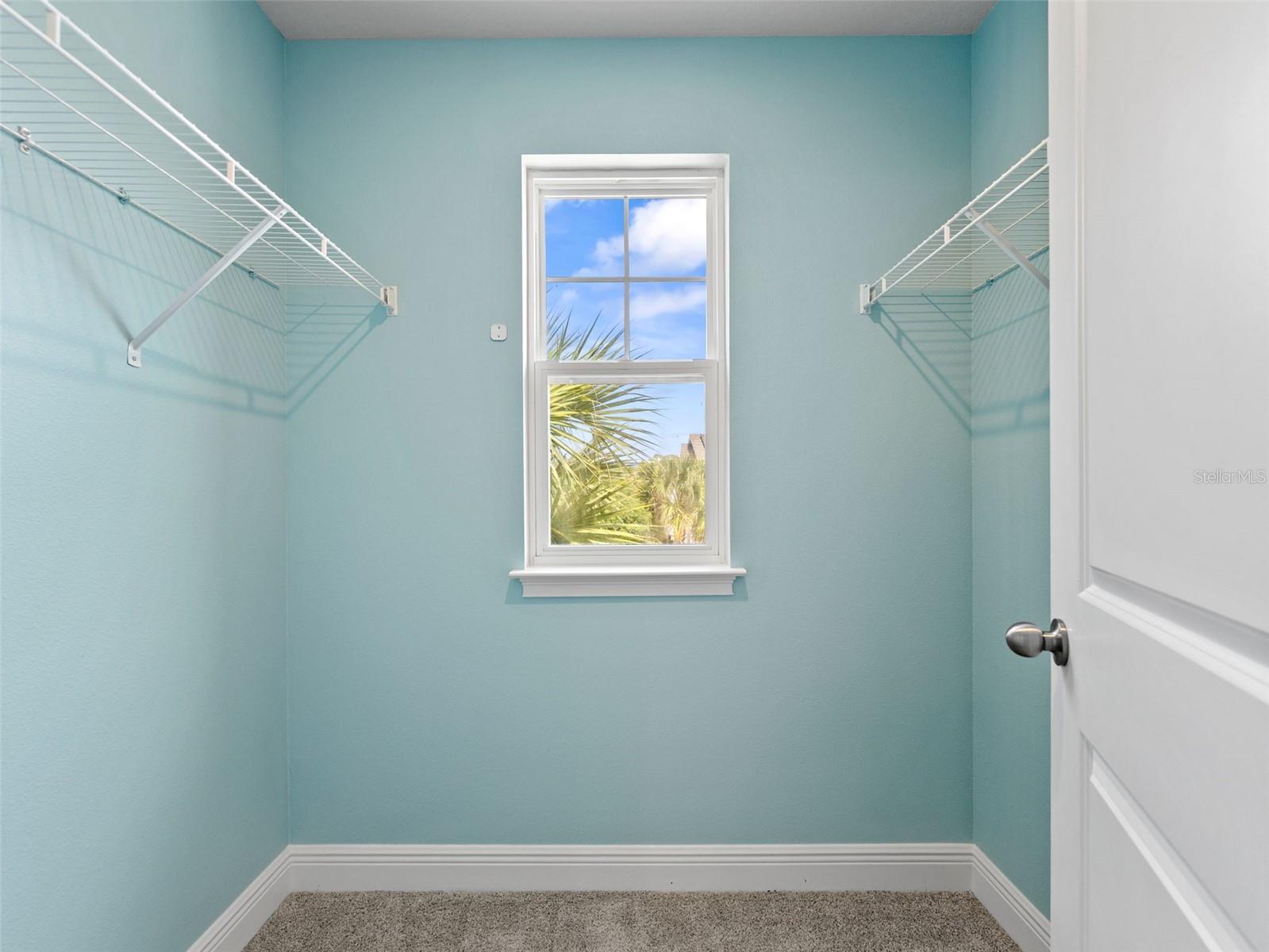 5974 GRAND SONATA AVE, LUTZ, FL, 33558