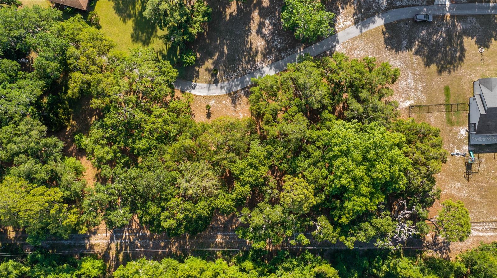 LEGACY WOODS, GROVELAND, FL, 34736