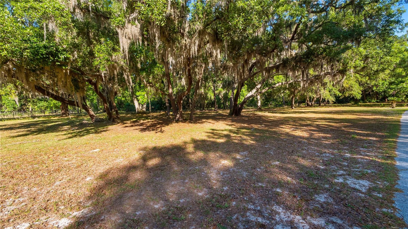 LEGACY WOODS, GROVELAND, FL, 34736