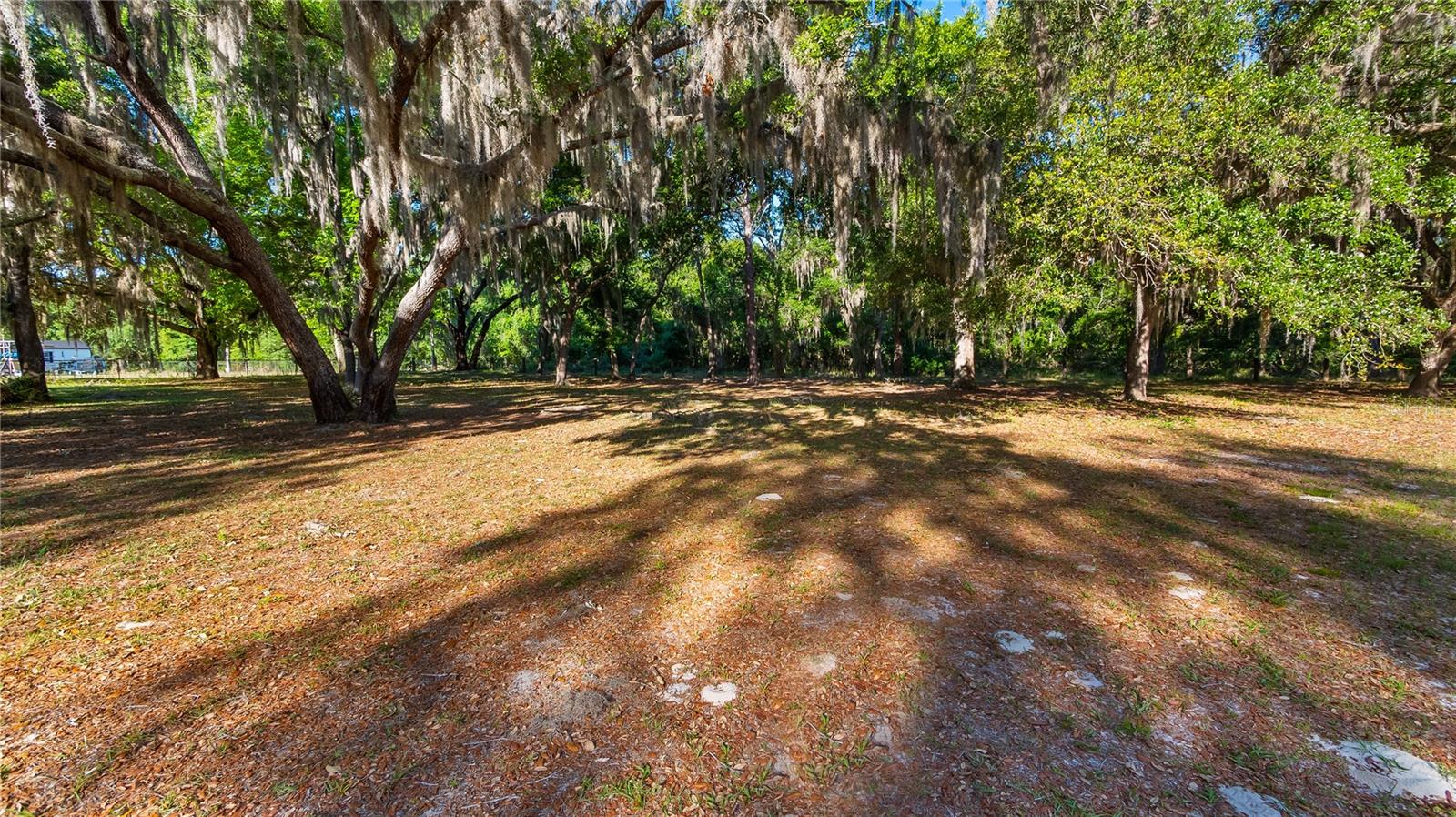 LEGACY WOODS, GROVELAND, FL, 34736