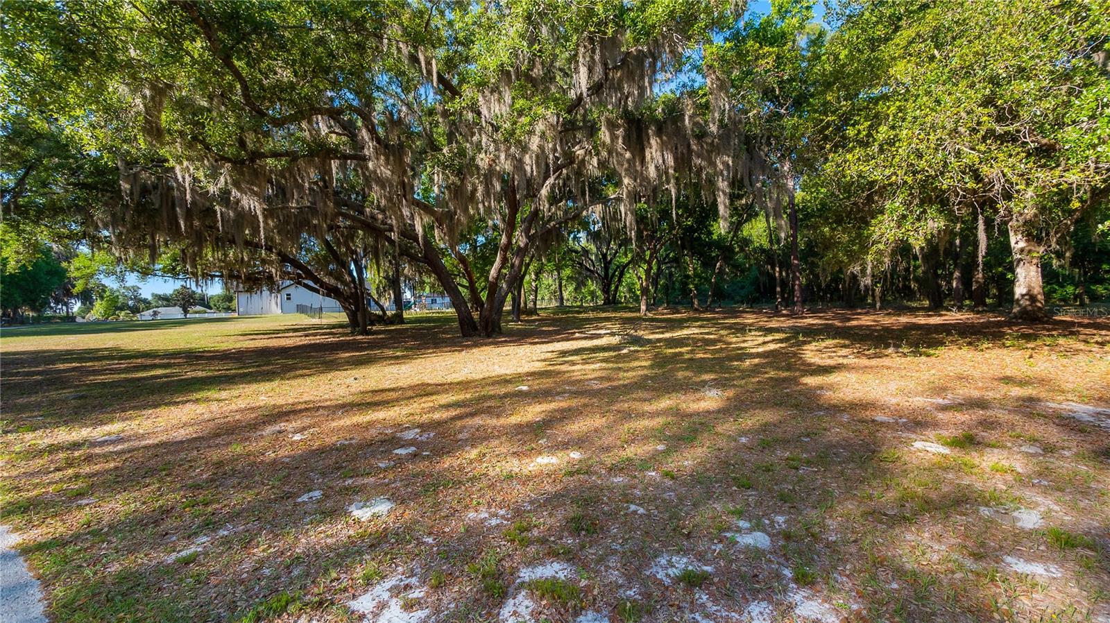 LEGACY WOODS, GROVELAND, FL, 34736