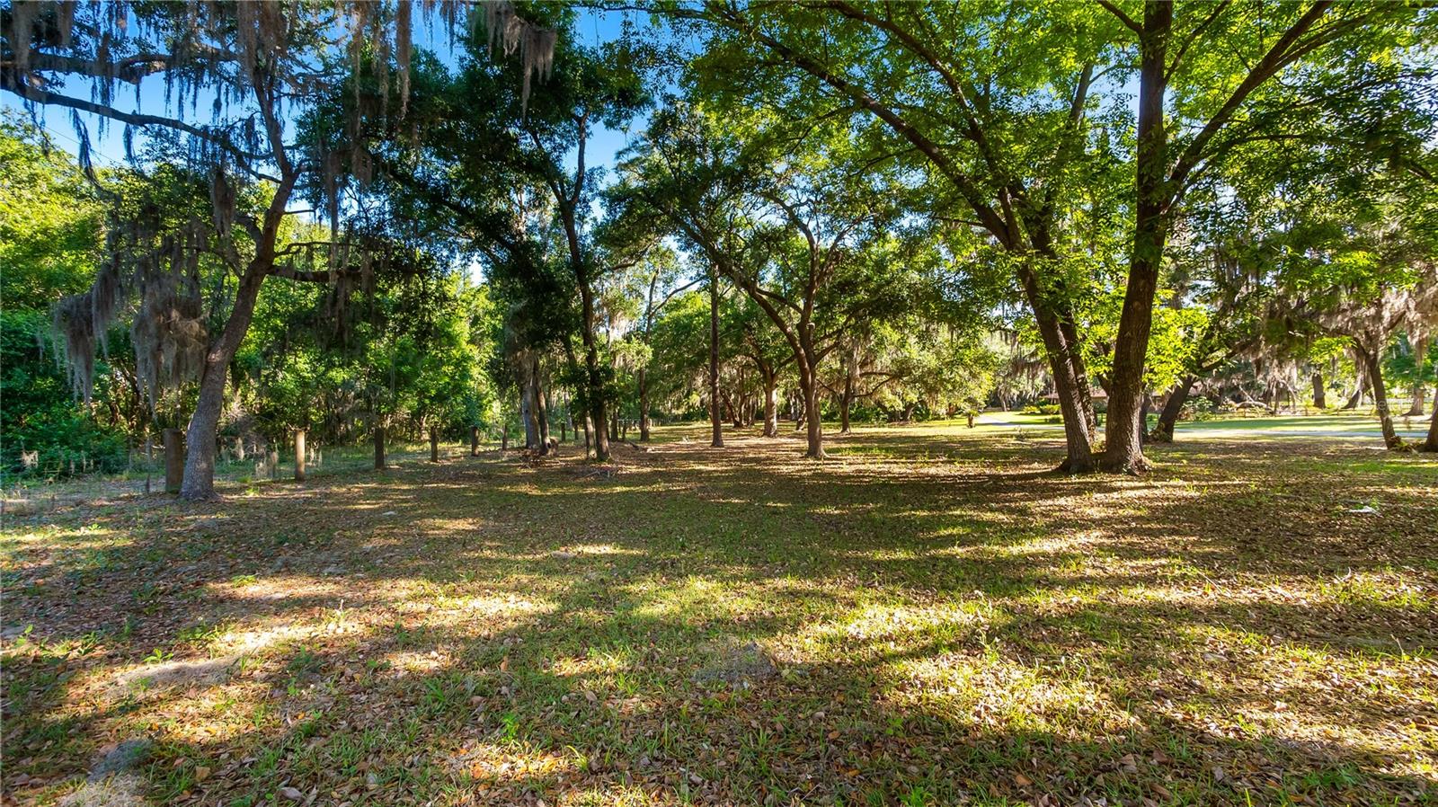LEGACY WOODS, GROVELAND, FL, 34736