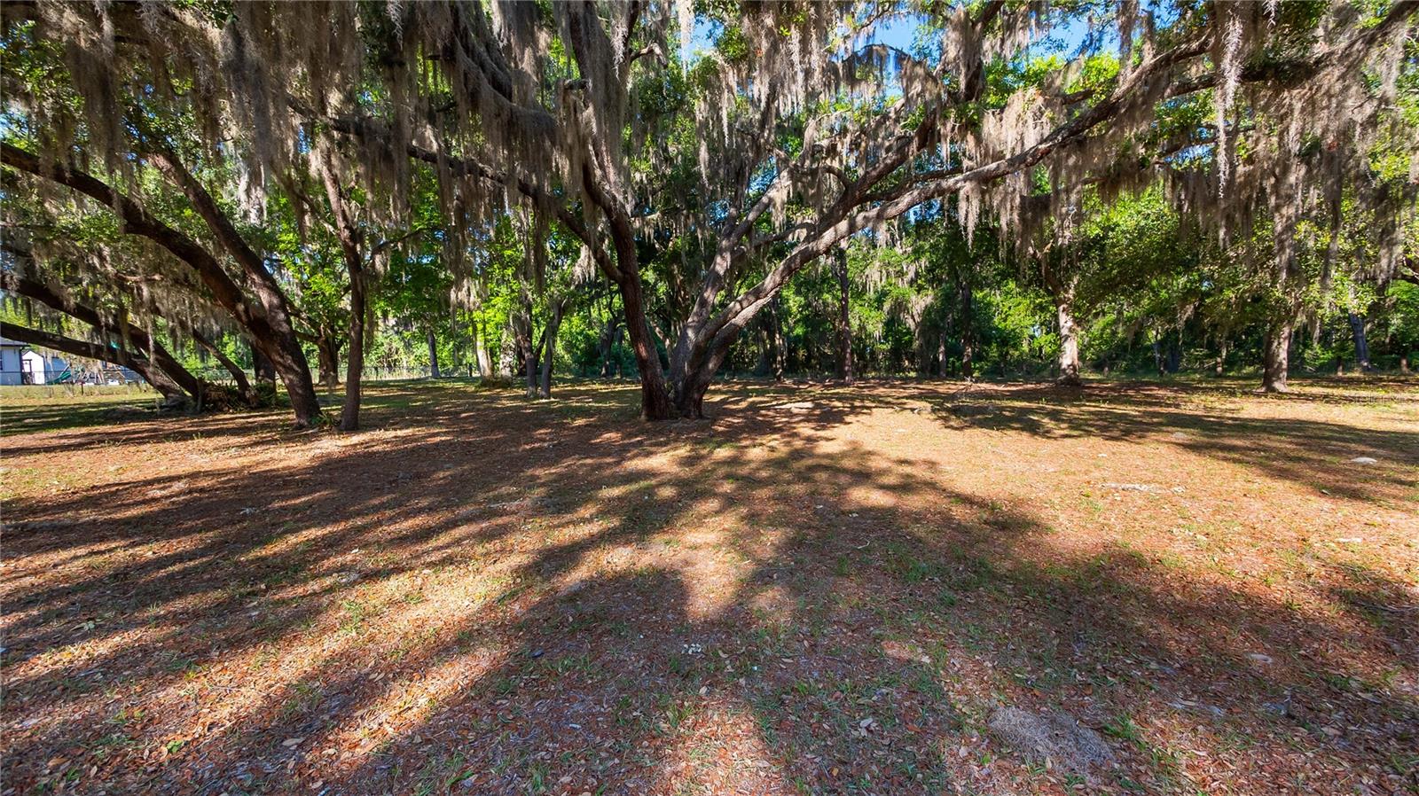 LEGACY WOODS, GROVELAND, FL, 34736