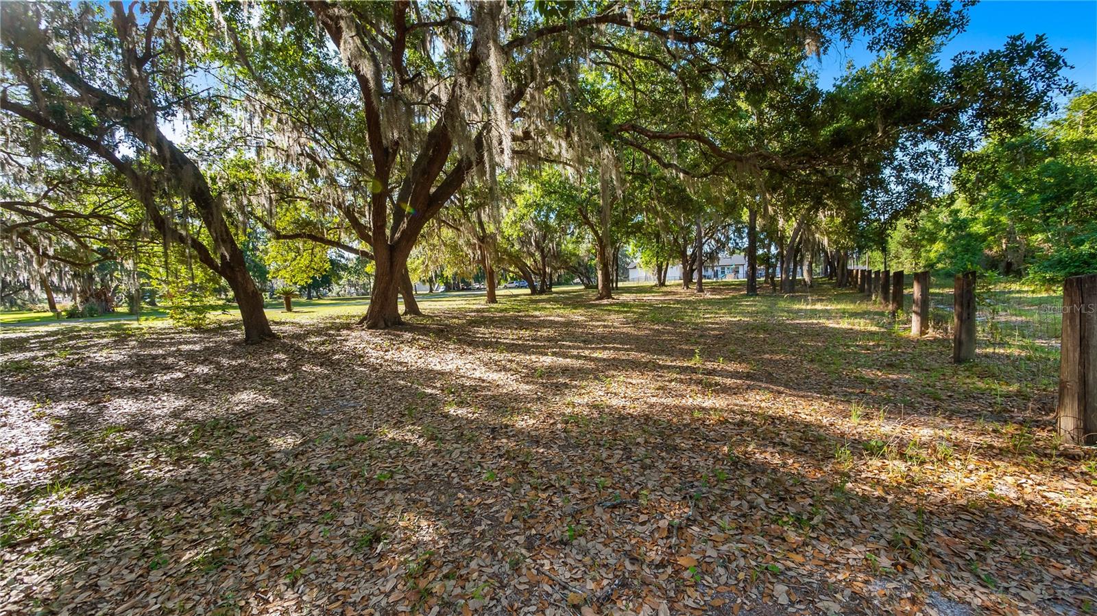 LEGACY WOODS, GROVELAND, FL, 34736