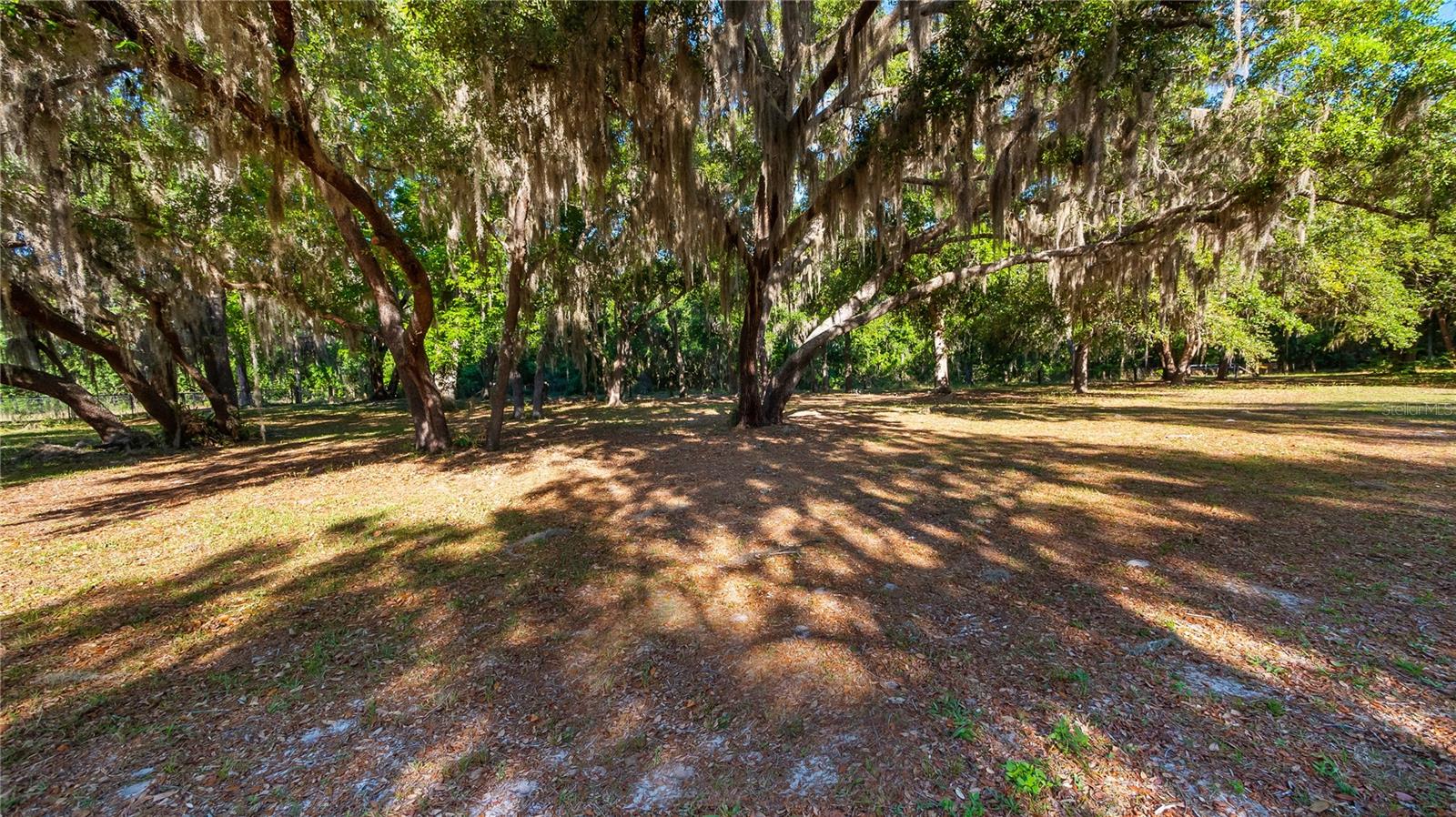 LEGACY WOODS, GROVELAND, FL, 34736