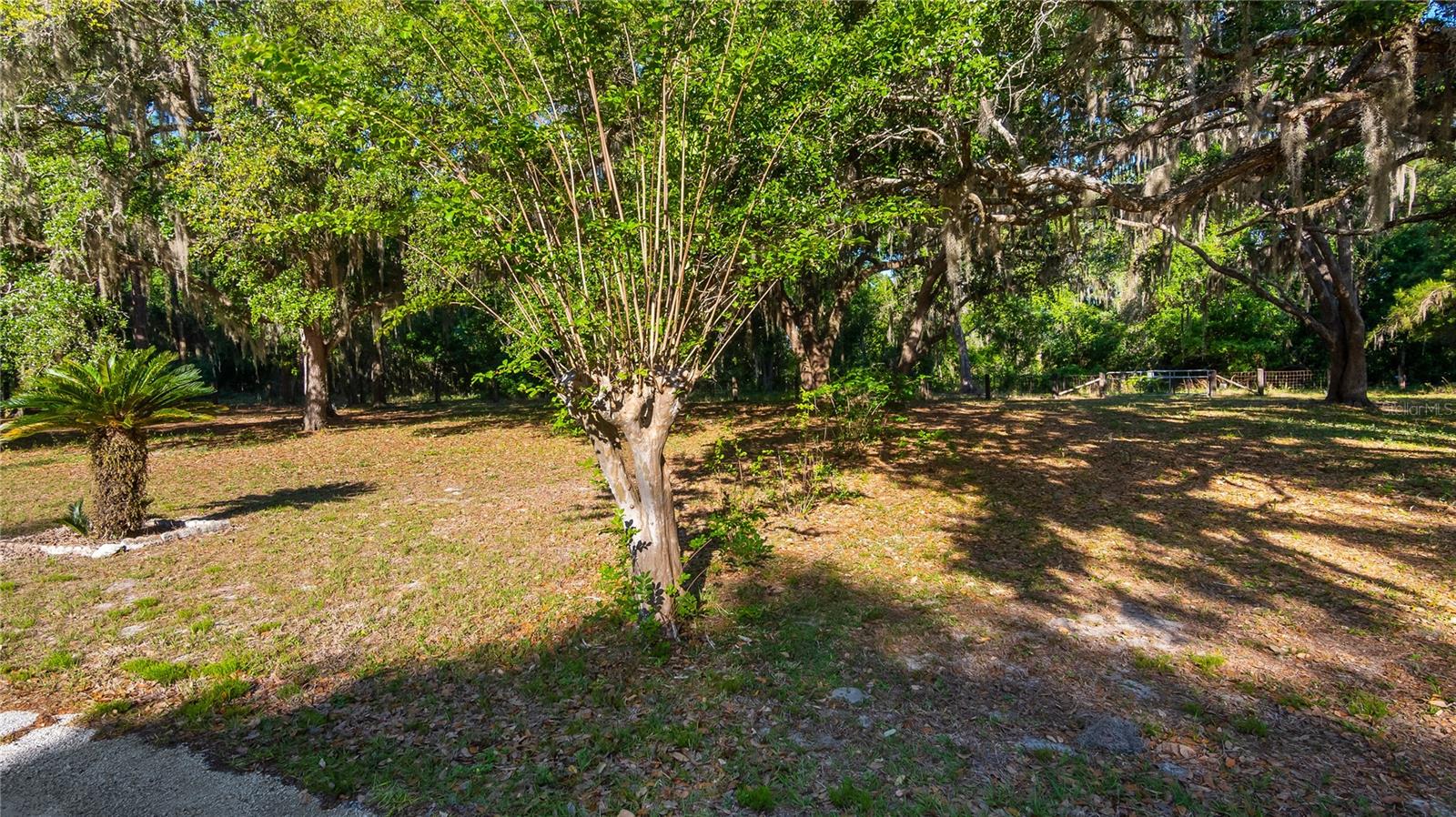 LEGACY WOODS, GROVELAND, FL, 34736