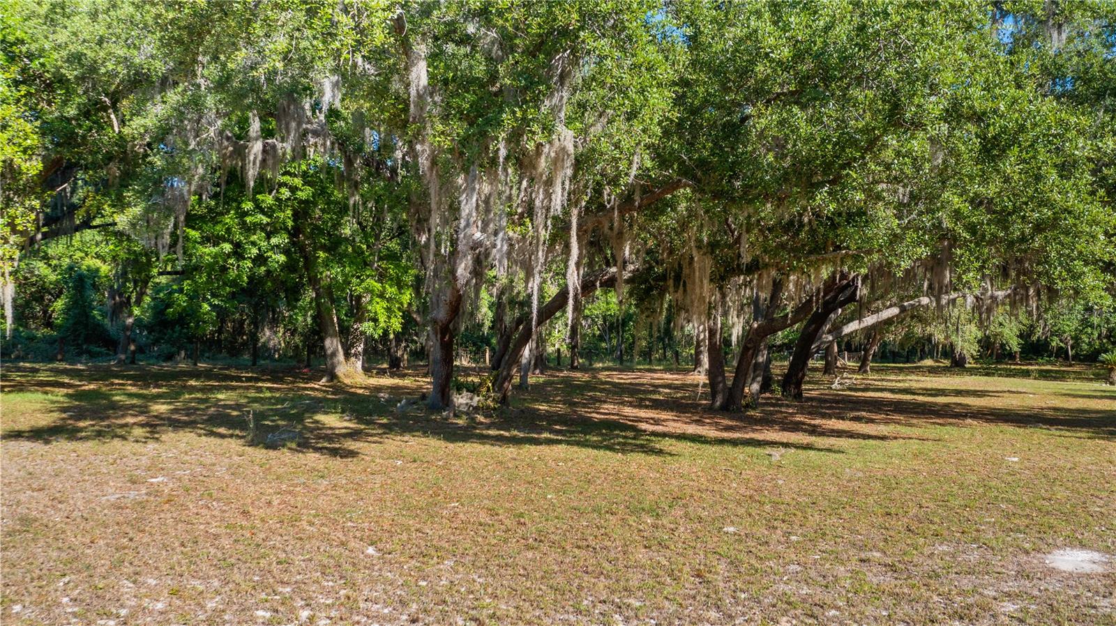 LEGACY WOODS, GROVELAND, FL, 34736