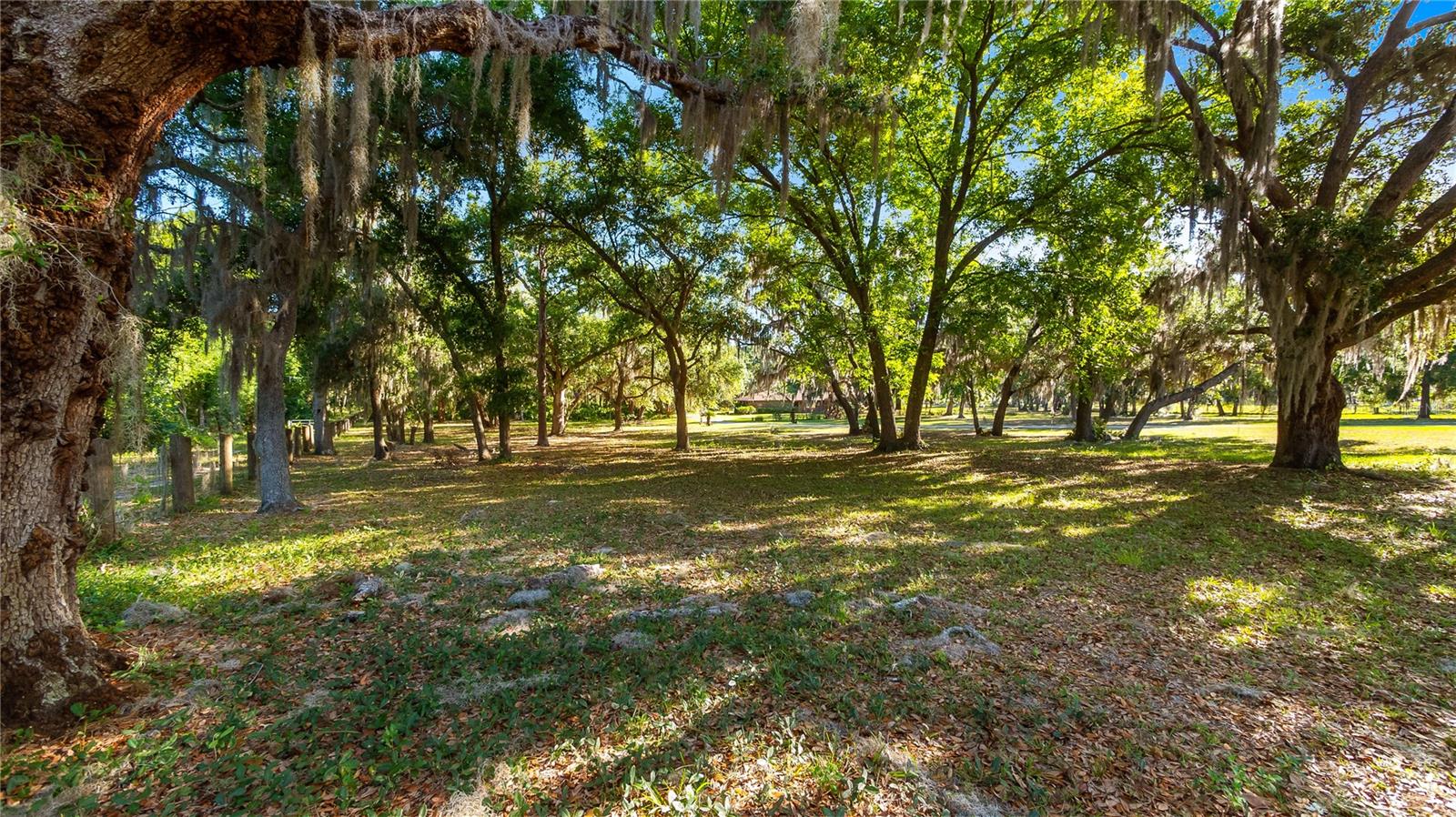 LEGACY WOODS, GROVELAND, FL, 34736