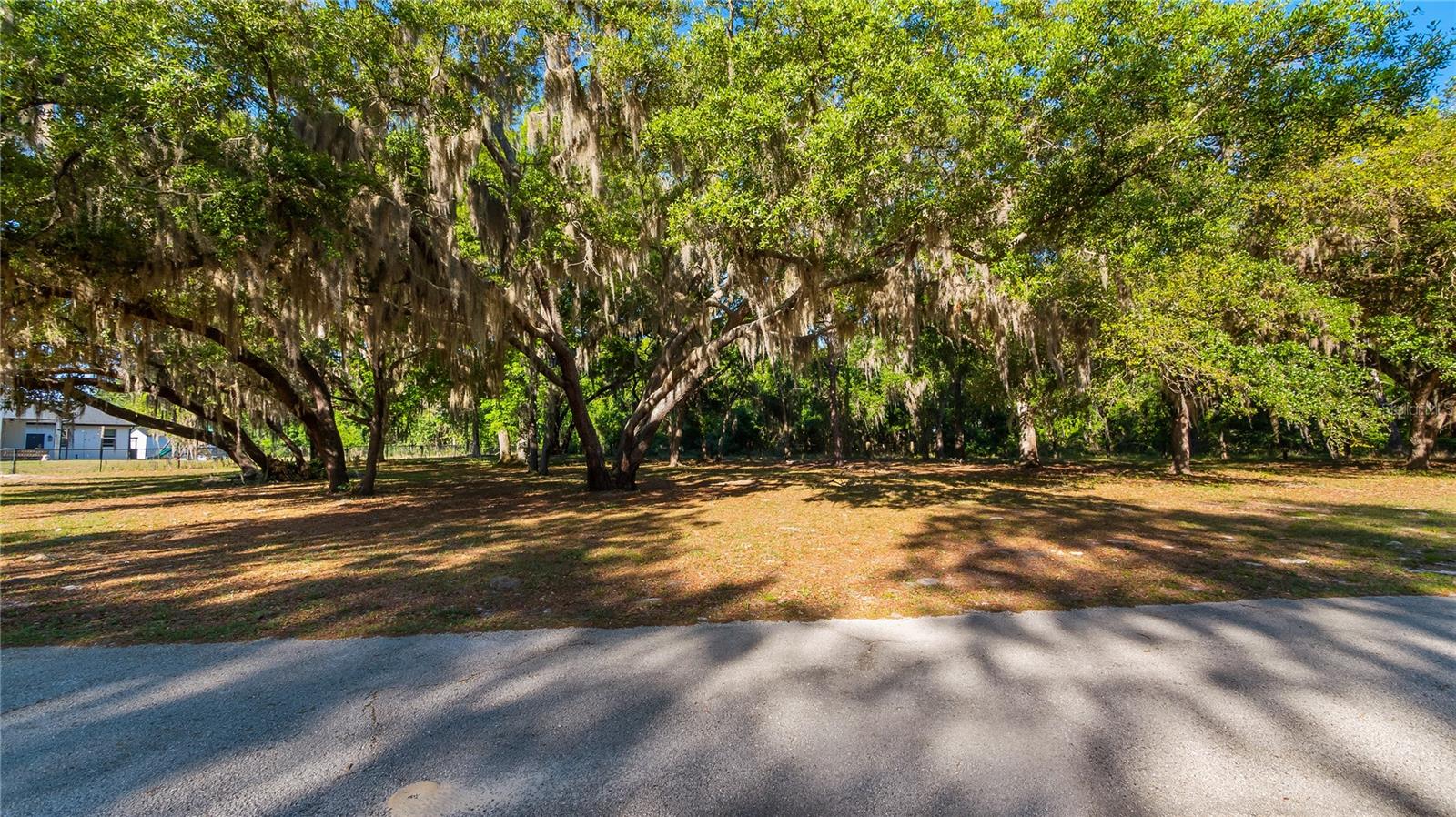 LEGACY WOODS, GROVELAND, FL, 34736