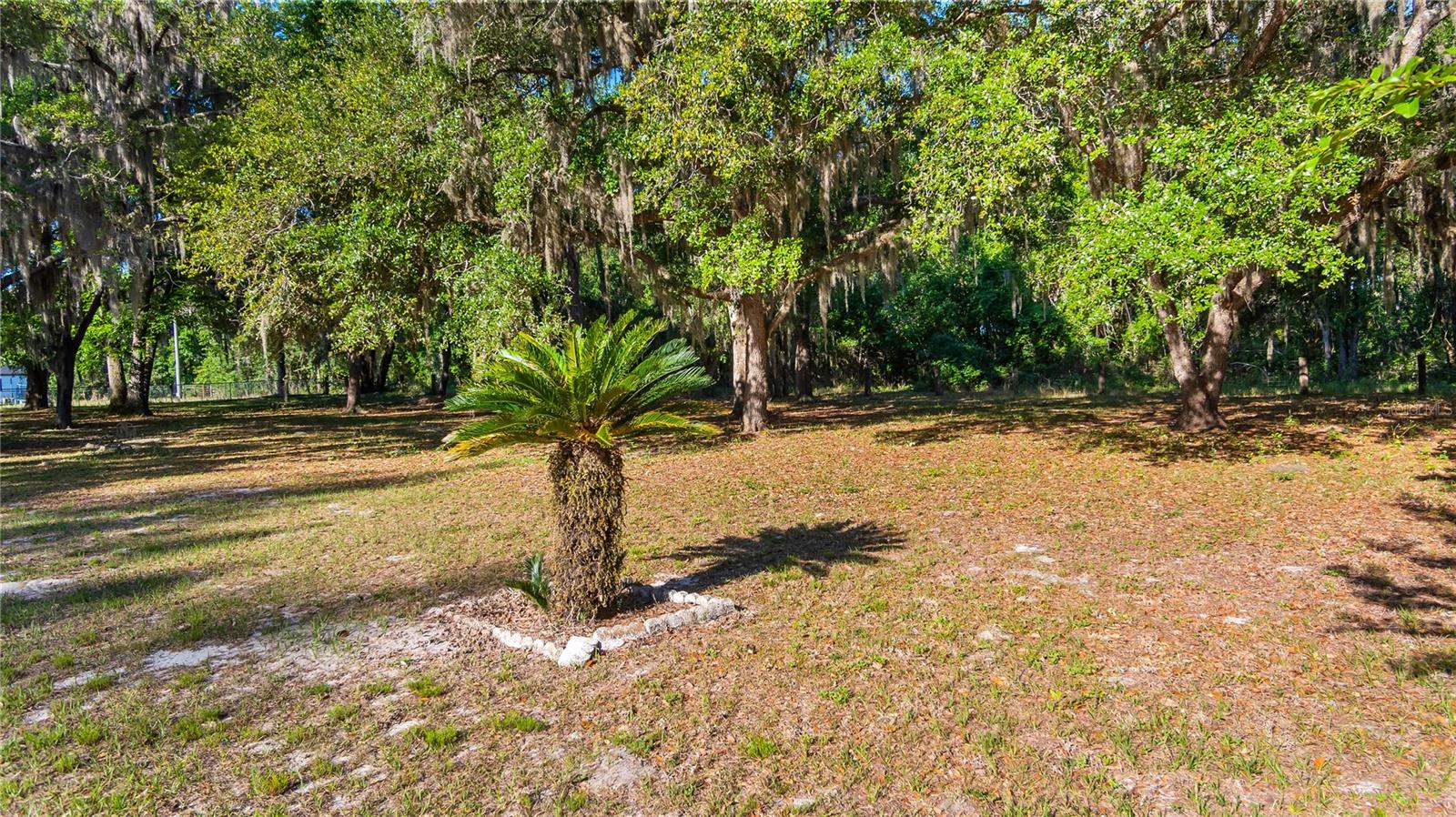 LEGACY WOODS, GROVELAND, FL, 34736