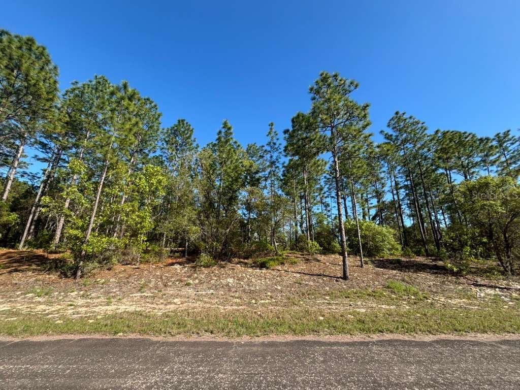 9161 N MARCUS WAY, CITRUS SPRINGS, FL, 34433