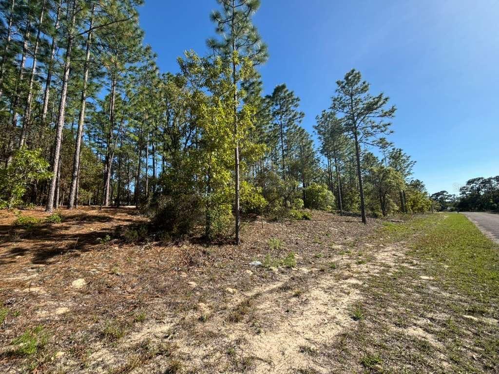 9161 N MARCUS WAY, CITRUS SPRINGS, FL, 34433