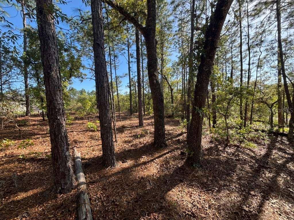 9161 N MARCUS WAY, CITRUS SPRINGS, FL, 34433