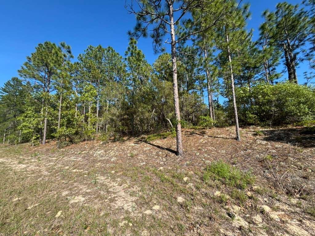 9161 N MARCUS WAY, CITRUS SPRINGS, FL, 34433