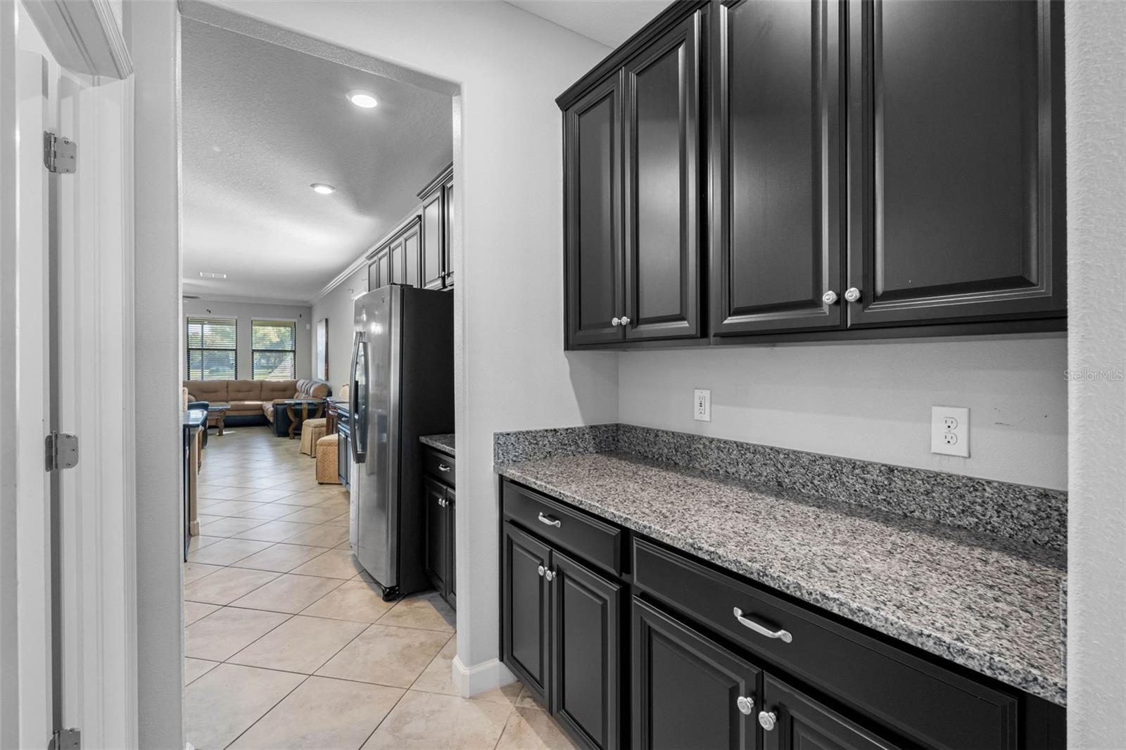 10066 VICTORY GALLOP LOOP, RUSKIN, FL, 33573