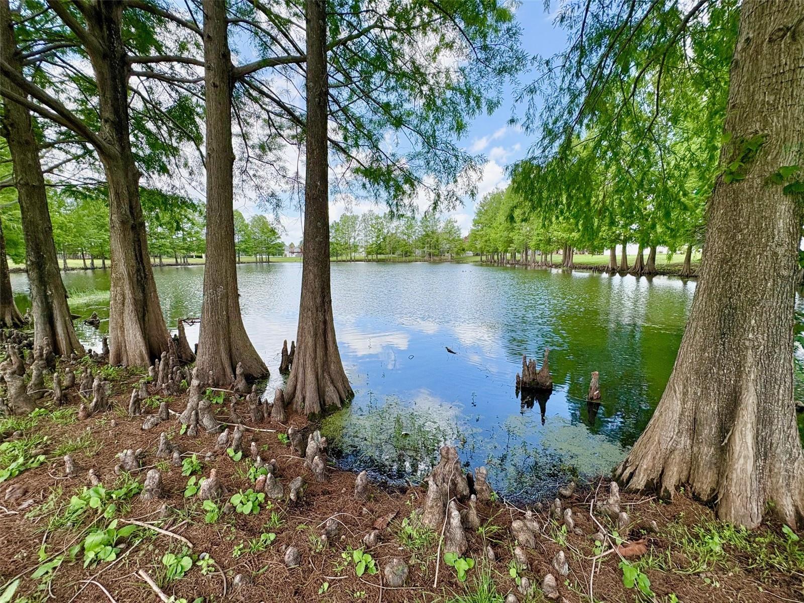 2813 ROLLING BROAK DR, ORLANDO, FL, 32837