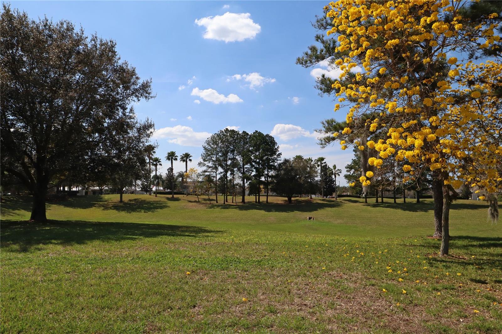 8211 FAN PALM WAY, KISSIMMEE, FL, 34747