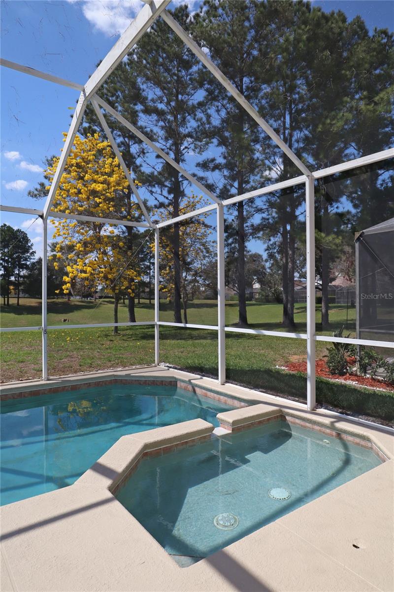 8211 FAN PALM WAY, KISSIMMEE, FL, 34747