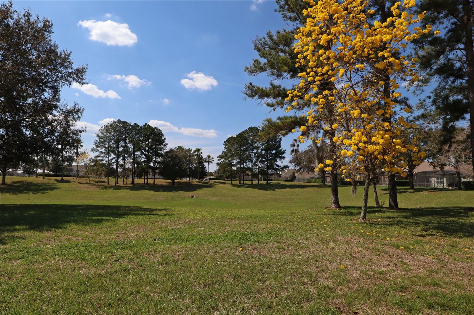 8211 FAN PALM WAY, KISSIMMEE, FL, 34747