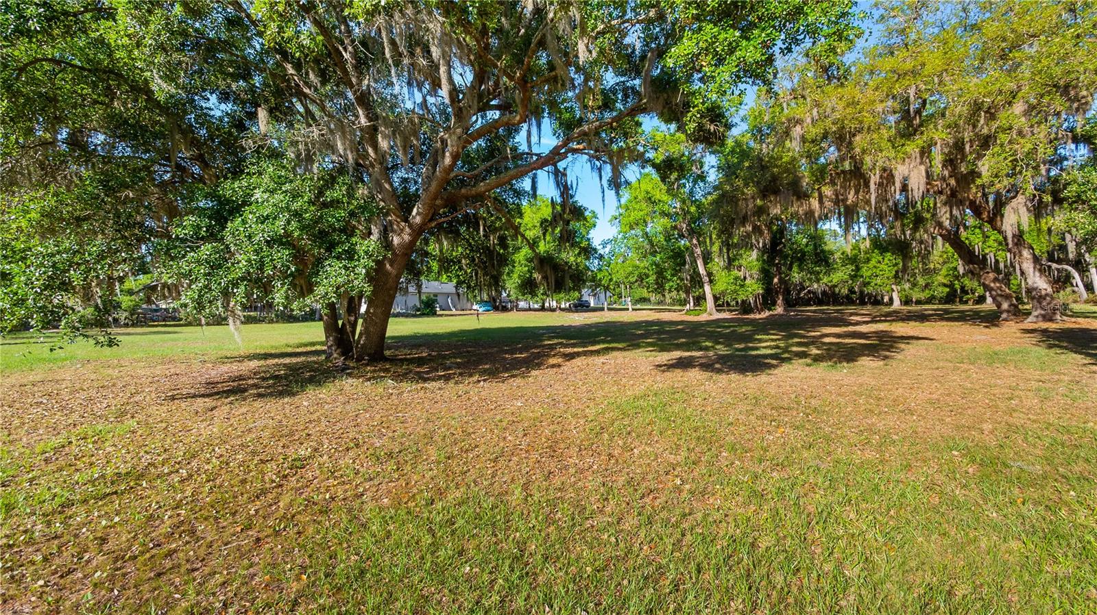 LEGACY WOODS, GROVELAND, FL, 34736