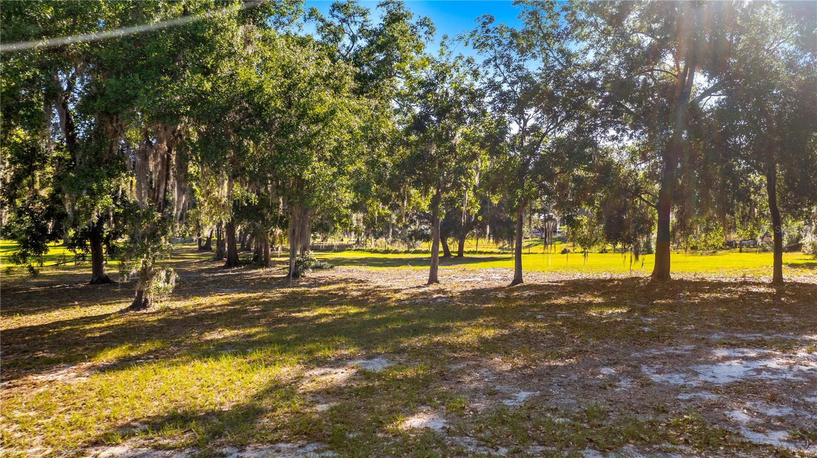 LEGACY WOODS, GROVELAND, FL, 34736