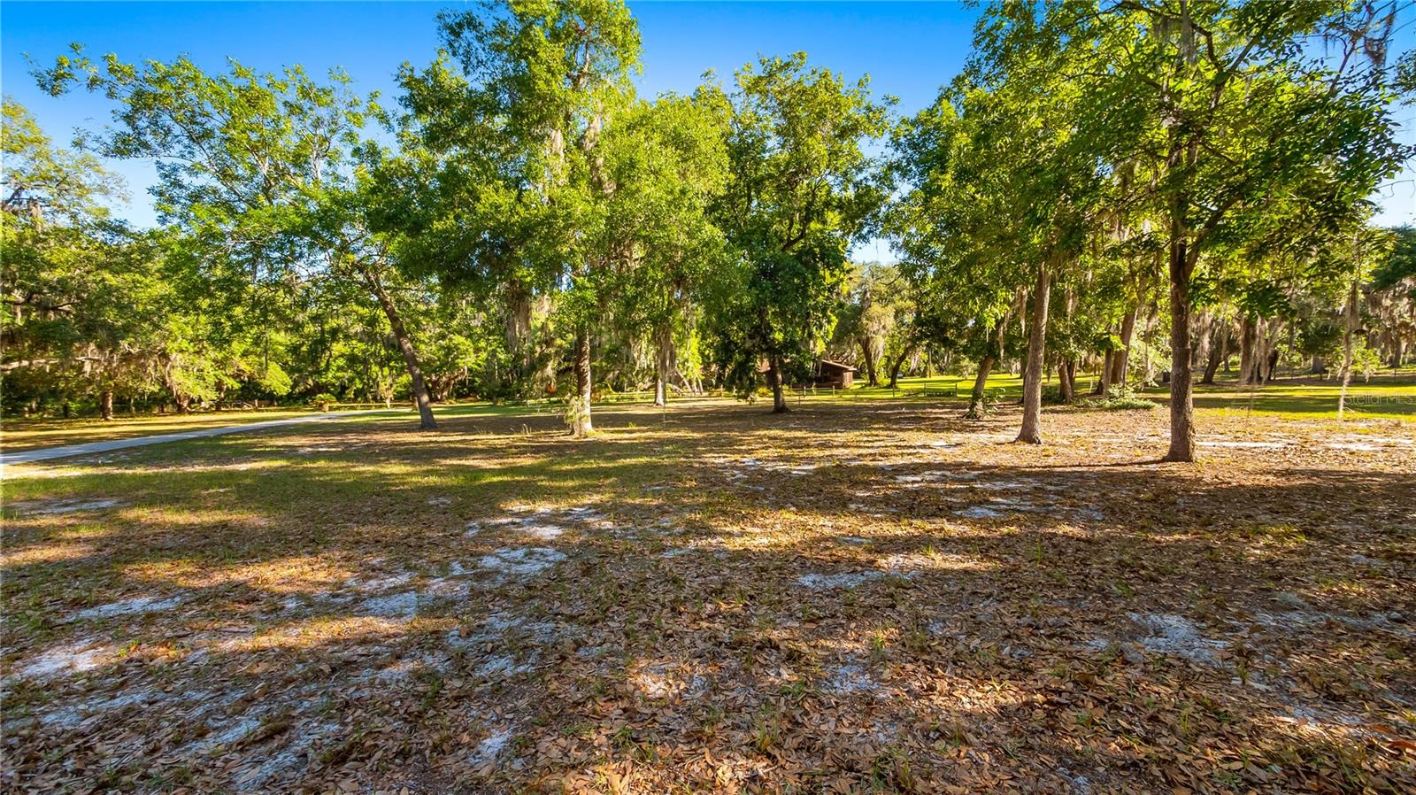 LEGACY WOODS, GROVELAND, FL, 34736