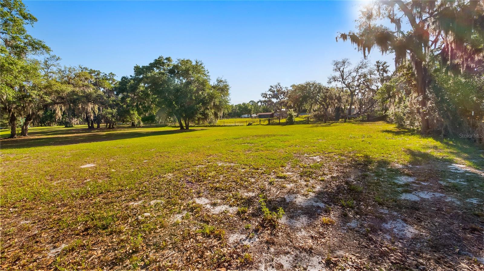 LEGACY WOODS, GROVELAND, FL, 34736