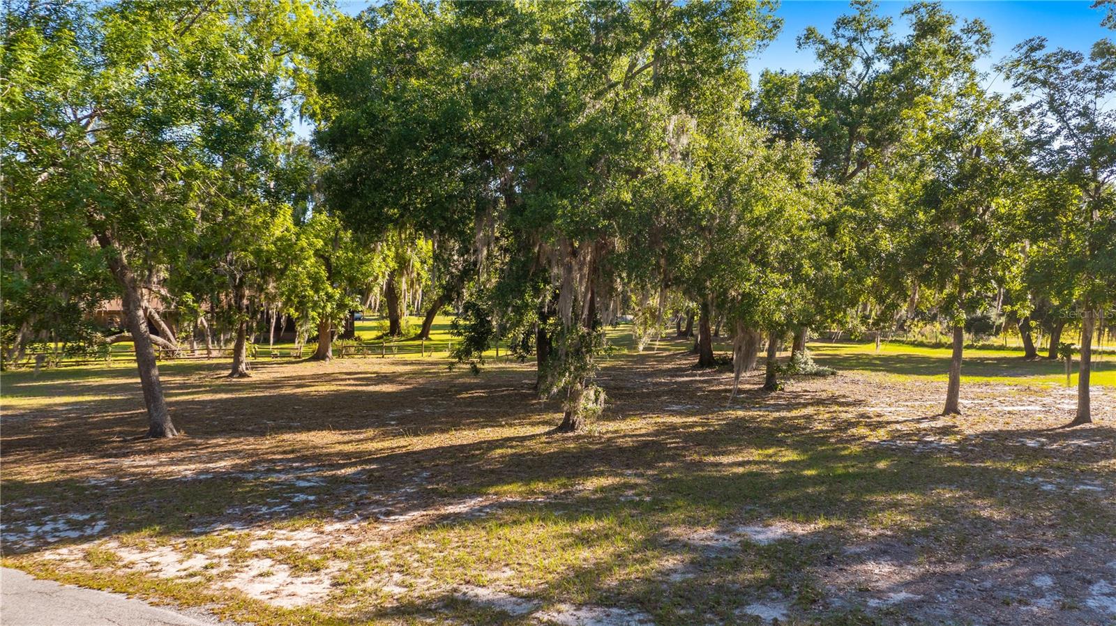 LEGACY WOODS, GROVELAND, FL, 34736