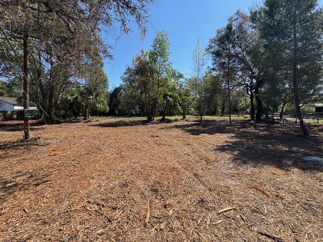 28815 AZALEA AVE, PAISLEY, FL, 32767