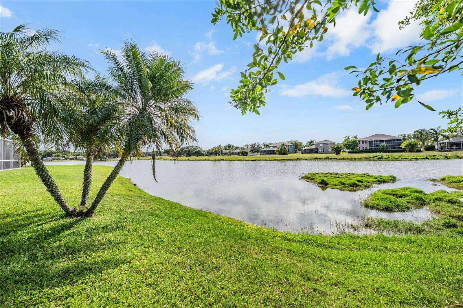 15922 MUIRFIELD DR, ODESSA, FL, 33556