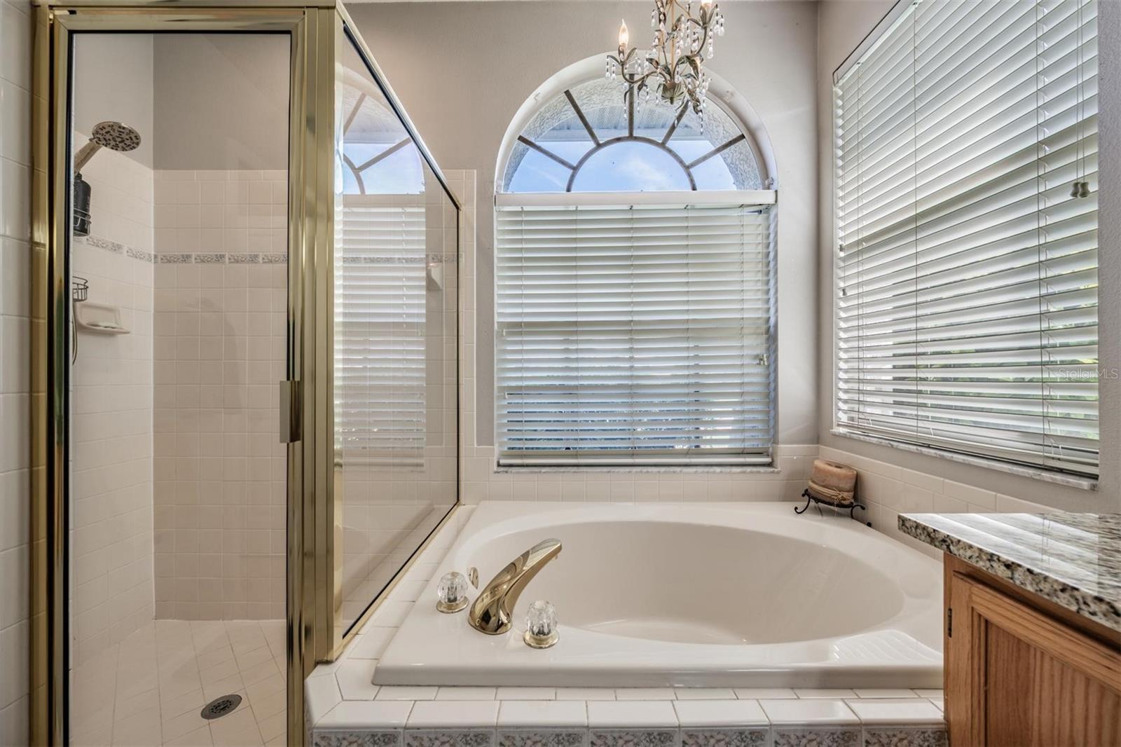 15922 MUIRFIELD DR, ODESSA, FL, 33556